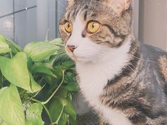 -青沐画室·专业美术培训