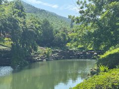 -冶父山国家森林公园