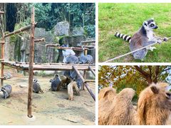-杭州野生动物世界