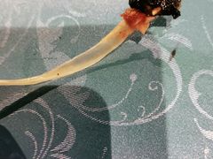 -巴渝菜馆(涿州店)