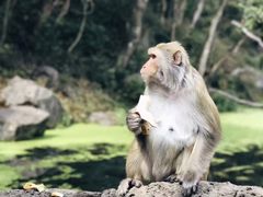 -丽江泸沽湖景区