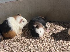 -常州海昌海洋探索馆