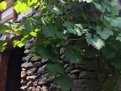 -驿舍·民國老营房院子私房菜(科学会堂店)