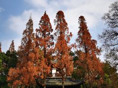 -汇龙潭