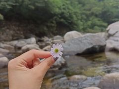 -沣峪口