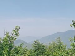 -北京西山国家森林公园