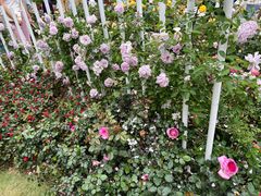 -人民公园(罗湖区)