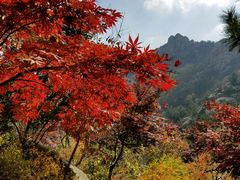 -崂山巨峰游览区