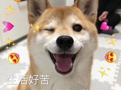 -古茗(厦门思北店)