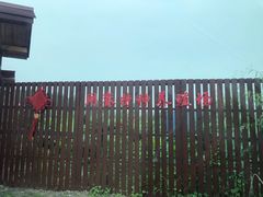 -同銮特种养殖场·龙虾垂钓