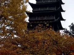 -常熟方塔园