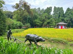 -古隆中景区