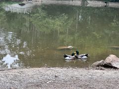 -水濂山森林公园