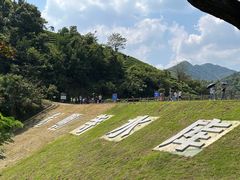 -龙坞茶村