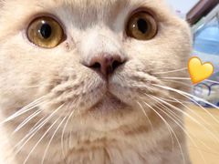 -瑞派福兴宠物医院犬猫全科·骨科·中西医结合(河东店)