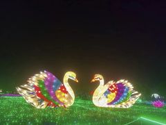 -广东花都香草世界旅游度假区