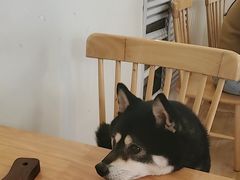 -柴の食堂·日式家庭料理·熊之肆(大学路店)