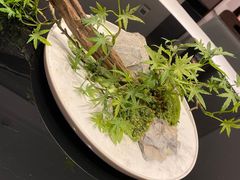 -江仙雅居(中航国际店)