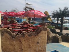 -秦皇岛乐岛海洋王国