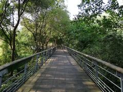 -西湖风景区-江洋畈生态公园