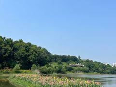 -青山湖景区