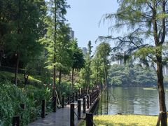 -重庆彩云湖湿地公园
