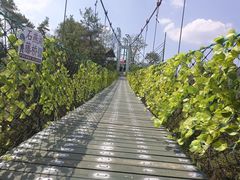 -石燕湖生态旅游景区