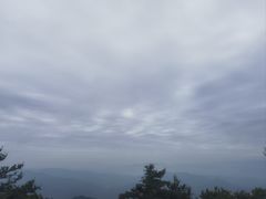 -王顺山国家森林公园