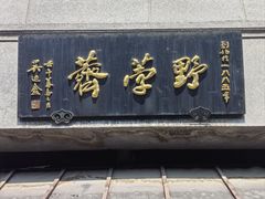 -野荸荠
