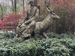 -溱湖国家湿地公园