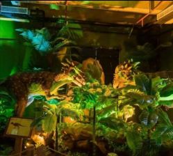 -恐龙探索乐园(磁器口店)