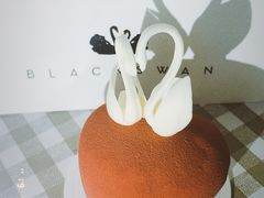 -BLACKSWAN黑天鹅(环球店)