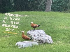 -北京动物园