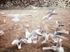 -老味道民宿(栈桥店)