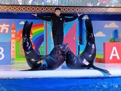 -成都浩海立方海洋公园