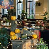襄阳这里、、万圣节皮肤已上线🎃🕷️🕷️