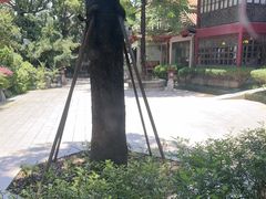 -东江渔村·古典园林·30年粤菜老字号(太和店)