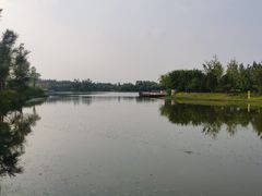 -东郊湿地公园
