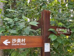-沙美村