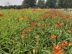 -汉长安城未央宫国家考古遗址公园