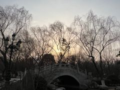 -西安青龙寺遗址景区