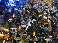 -青石桥市场北1-27号