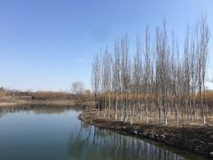 -大兴滨河森林公园