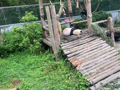 -黔灵山公园