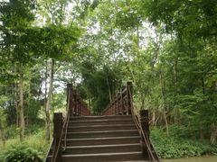 -桤木河湿地公园