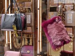 -COACH蔻驰(星光68广场店)