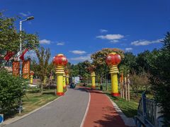 -上海长兴岛郊野公园