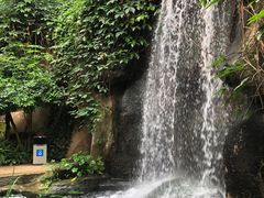 -南山植物园