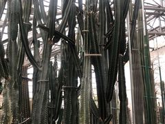 -南山植物园