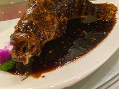 祥龙桂鱼-新聚丰菜馆(太监弄店)